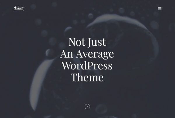 Fullscreen WordPress theme agency design