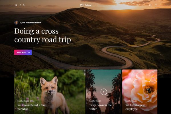 Salient WordPress theme dark blog prebuilt website demo