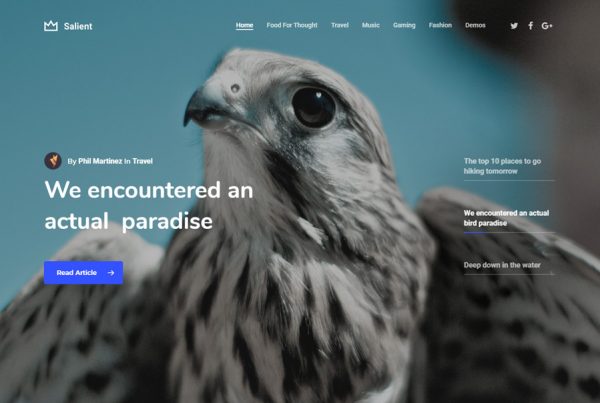 Ultimate blog WordPress theme landing page