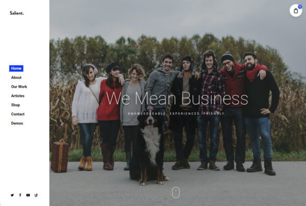 WordPress theme with left navigation and sleek minimal design