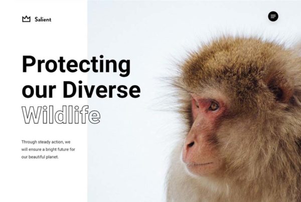 salient wordpress theme nonprofit demo