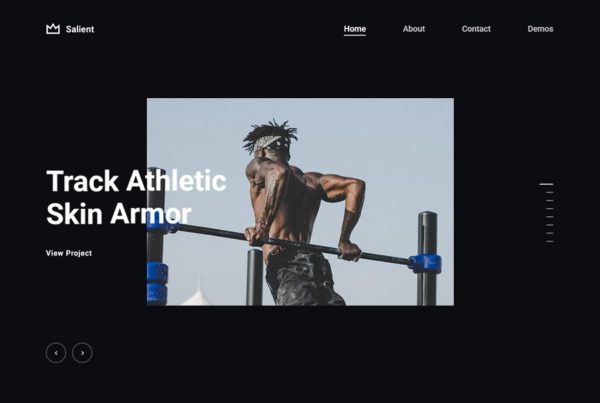 WordPress theme with eye catching portfolio slider