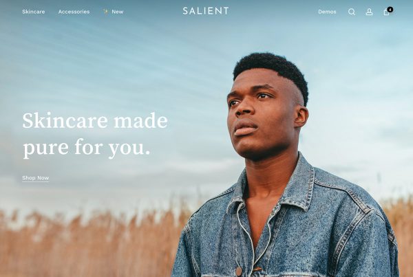 Best of 2023 WordPress WooCommerce theme